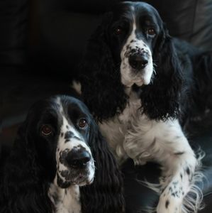 Meet your Posher, Jordyn